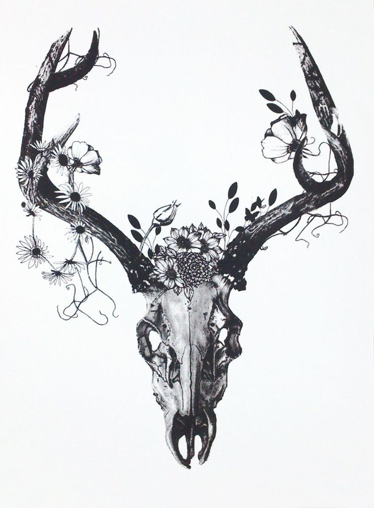 9491d456cb0409f60773bf01f4230d8d--deer-skull-tattoo-with-flowers-flower- skull-tattoo – Nanuk Tattoo